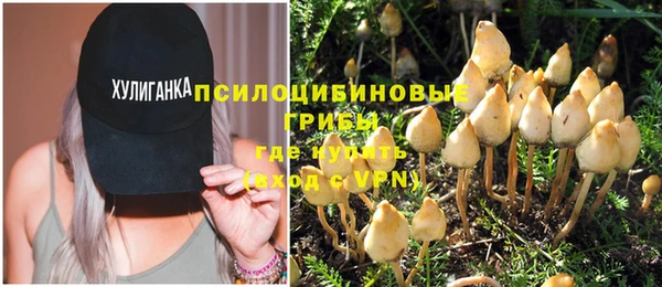 кристаллы Гусь-Хрустальный