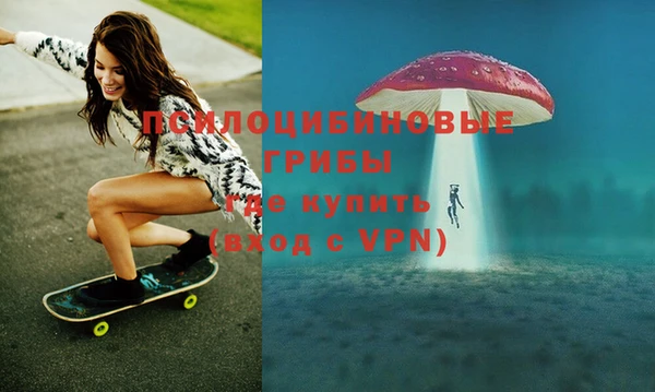 прущая мука Гусев