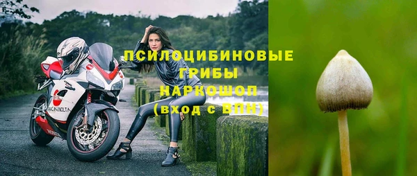 прущая мука Гусев