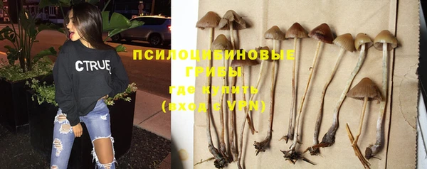 гашиш Горнозаводск